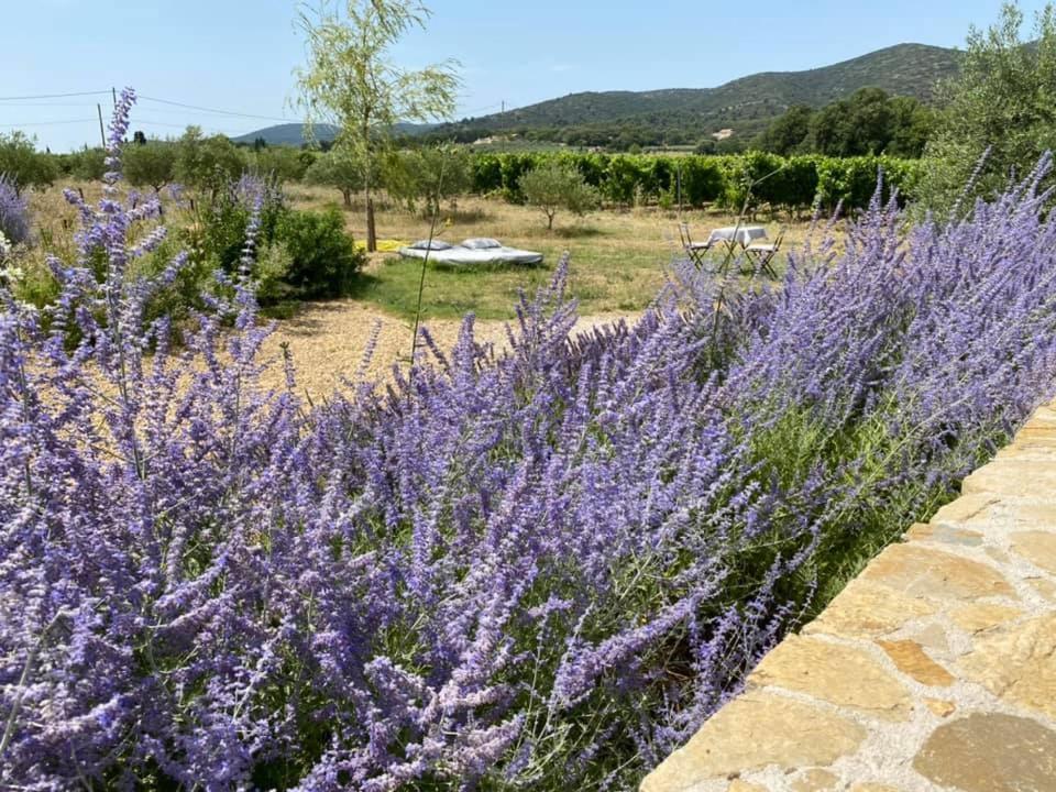 Maison D'Hotes Bastide St Victor A 2,5 Kilometres De Lourmarin Puyvert Exterior photo